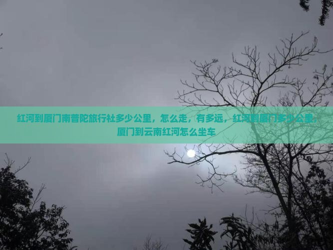 红河到厦门南普陀旅行社