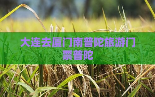 大连去厦门南普陀门票