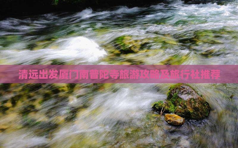 清远出发厦门南普陀寺旅游攻略及旅行社推荐