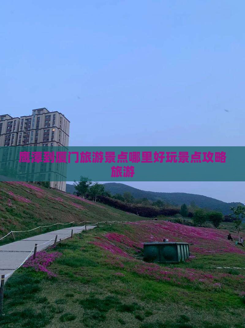 鹰潭到厦门旅游景点哪里好玩景点攻略旅游