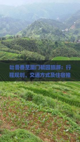 吐鲁番至厦门毓园旅游：行程规划、交通方式及住宿推荐
