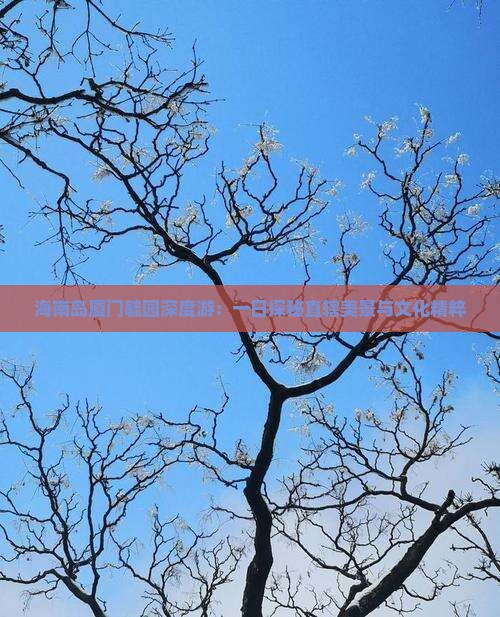 海南岛厦门毓园深度游：一日探秘直辖美景与文化精粹