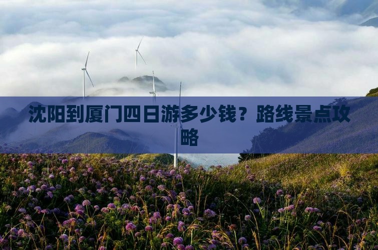 沈阳到厦门四日游