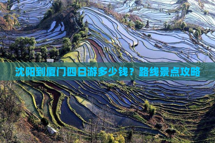 沈阳到厦门四日游