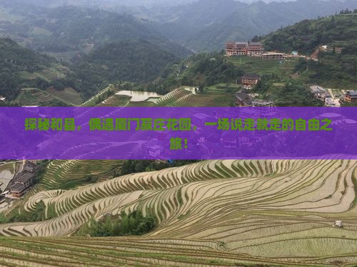 和县到厦门菽庄花园自由团