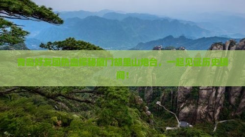 青岛到厦门胡里山炮台大型旅游团