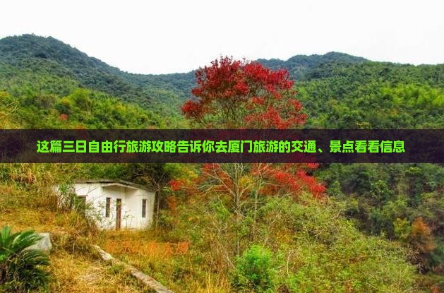 三亚去厦门个人游