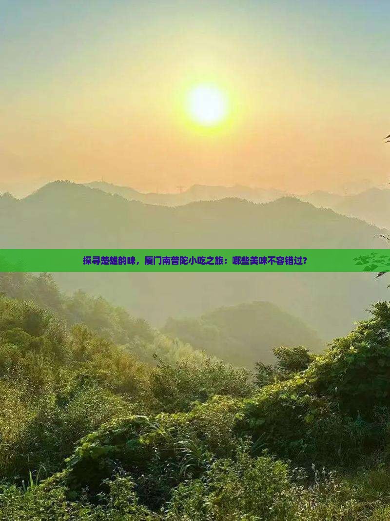 楚雄到厦门南普陀旅游小吃