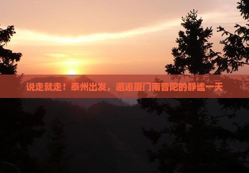 泰州去厦门南普陀一日