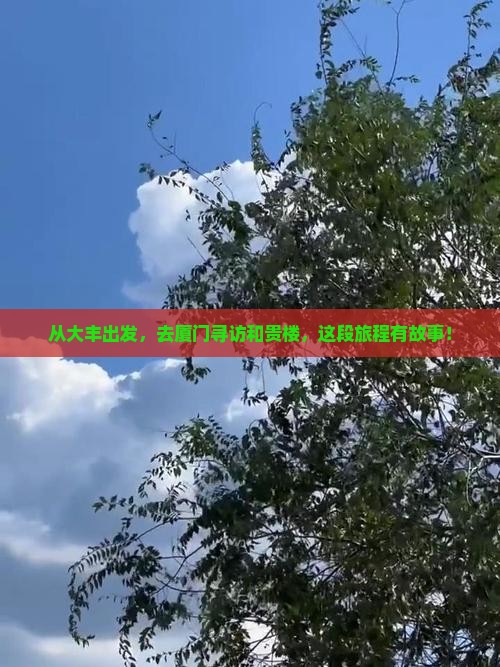 大丰到厦门和贵楼自由团