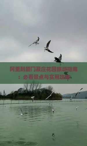 阿里到厦门菽庄花园旅游