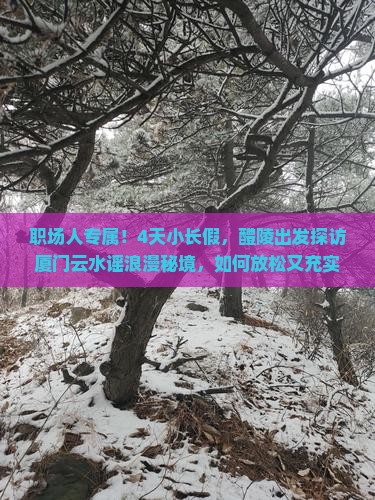 醴陵去厦门云水谣四日游