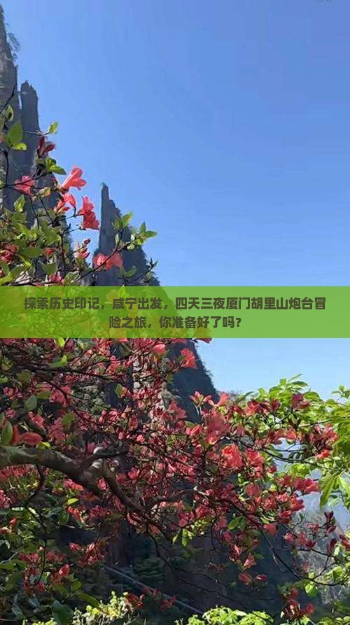 咸宁到厦门胡里山炮台四日游