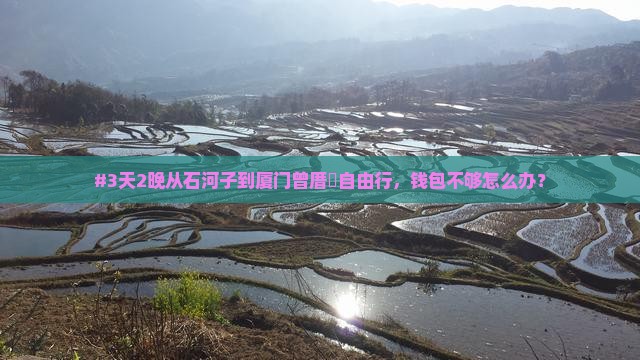 石河子去厦门曾厝埯个人游
