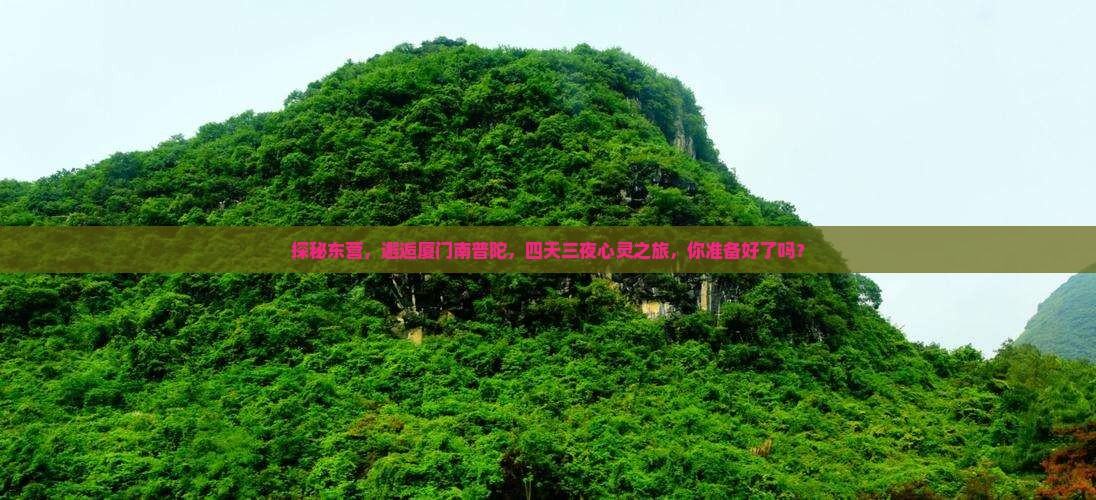 东营到厦门南普陀四日游