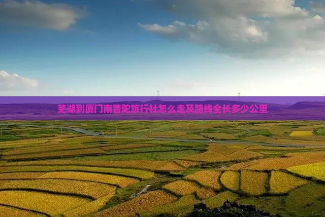 芜湖到厦门南普陀旅行社