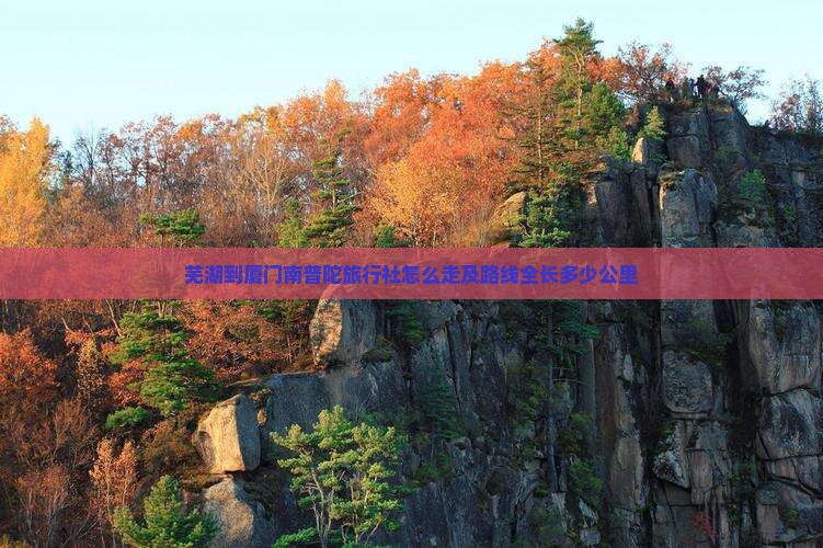芜湖到厦门南普陀旅行社