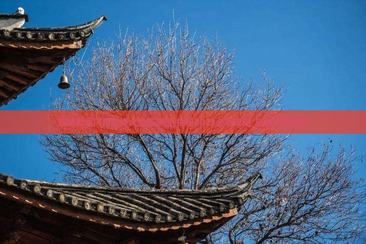 淄博到厦门和贵楼大型旅游团