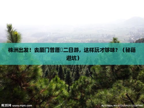 株洲去厦门曾厝埯二日游