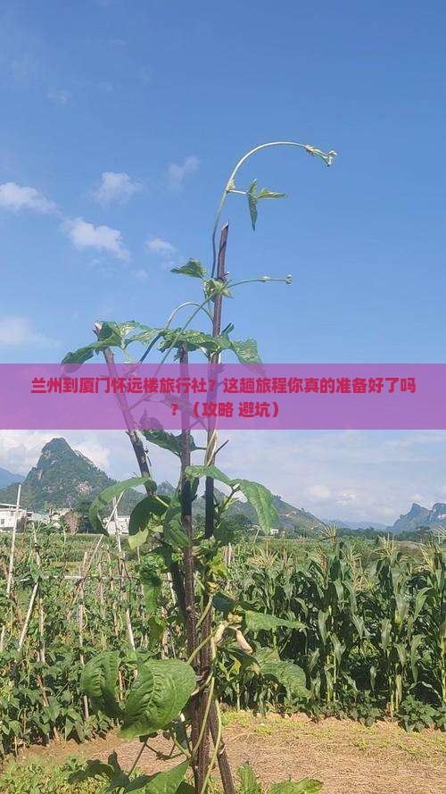 兰州到厦门怀远楼旅行社