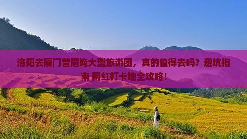 洛阳去厦门曾厝埯大型旅游团