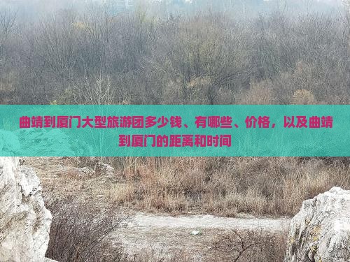 曲靖到厦门大型旅游团