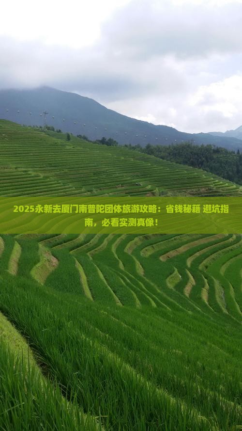 永新去厦门南普陀团体旅游