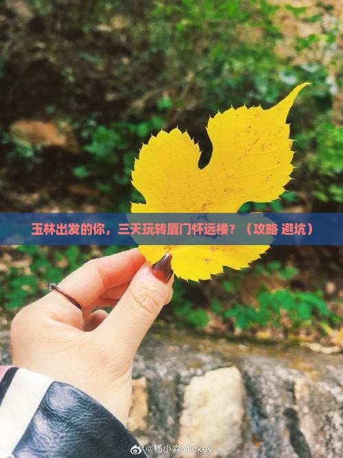 玉林到厦门怀远楼三日游