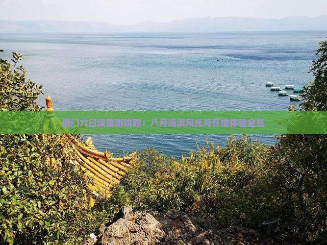 厦门六日深度游攻略：八月海滨风光与在地体验全览