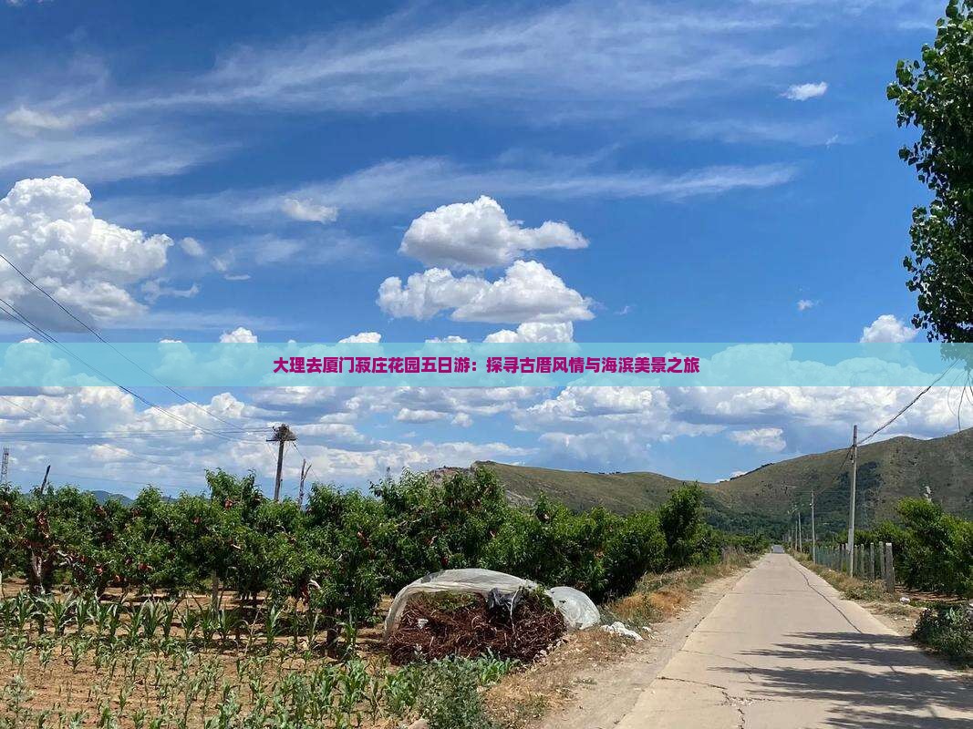 大理去厦门菽庄花园五日游：探寻古厝风情与海滨美景之旅