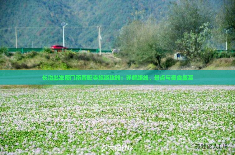长治出发厦门南普陀寺旅游攻略：详解路线、景点与美食盛宴