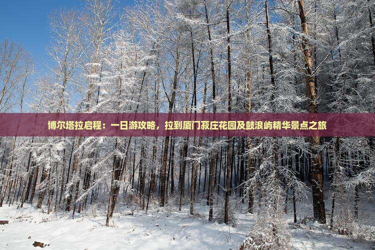 博尔塔拉启程：一日游攻略，拉到厦门菽庄花园及鼓浪屿精华景点之旅