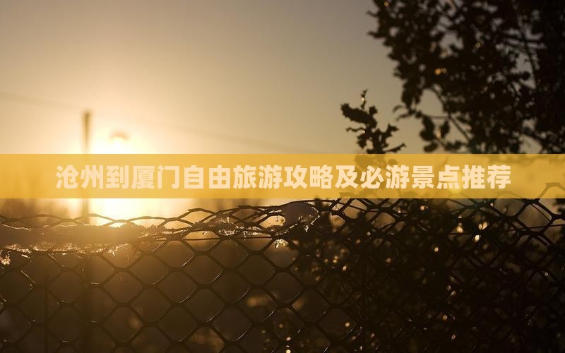 沧州到厦门自由旅游攻略及必游景点推荐