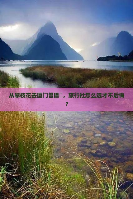 攀枝花到厦门曾厝埯旅行社