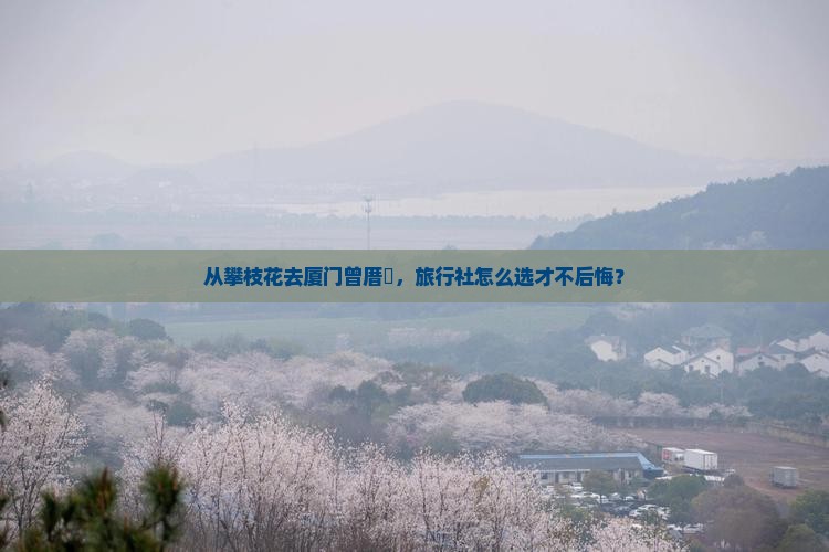 攀枝花到厦门曾厝埯旅行社