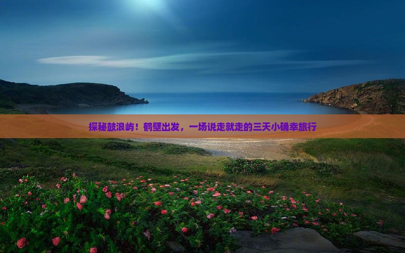 鹤壁去厦门鼓浪屿三日游
