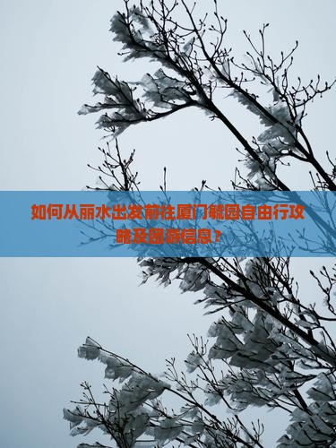 丽水去厦门毓园自由团