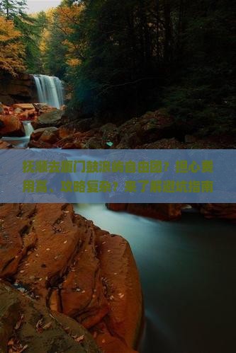 抚顺去厦门鼓浪屿自由团