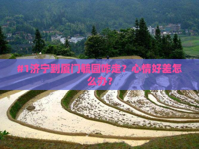 济宁去厦门毓园景点