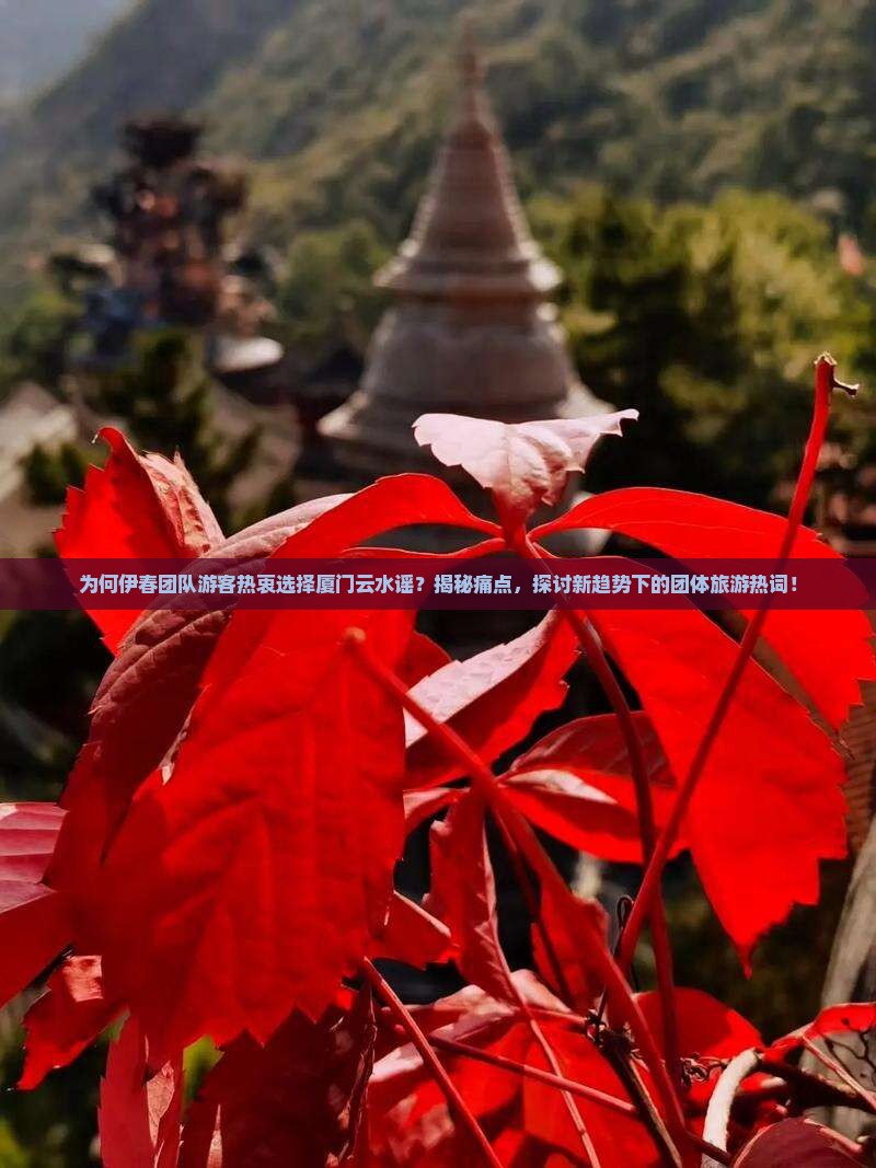 伊春去厦门云水谣团体旅游
