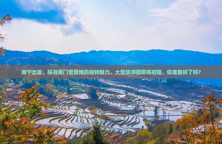 南宁到厦门曾厝埯大型旅游团