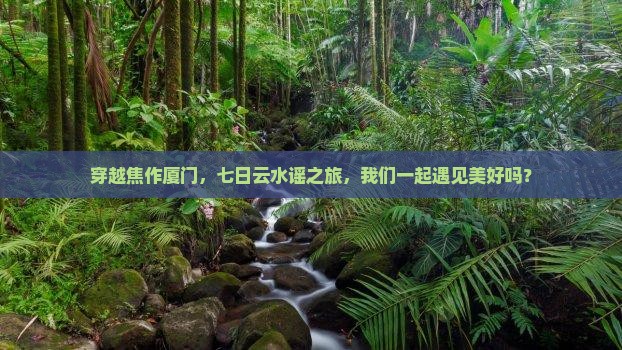 焦作到厦门云水谣七日游