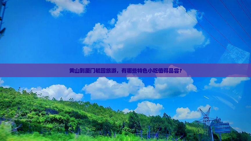 黄山到厦门毓园旅游小吃 黄山到厦门毓园旅游小吃