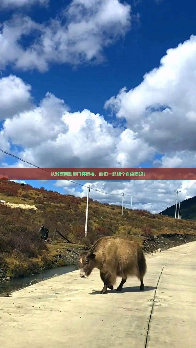 黔西南到厦门怀远楼自由团