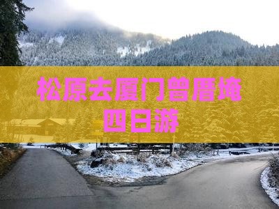 松原去厦门曾厝埯四日游