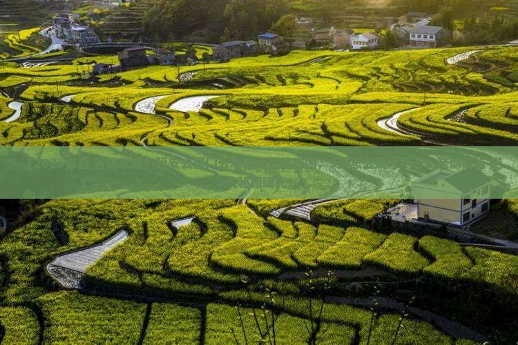 延安去厦门云水谣大型旅游团