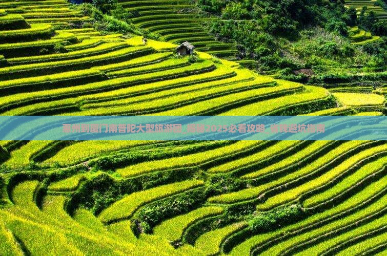 惠州到厦门南普陀大型旅游团