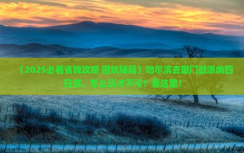 哈尔滨到厦门鼓浪屿四日游