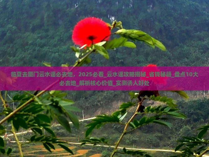 临夏去厦门云水谣必去地