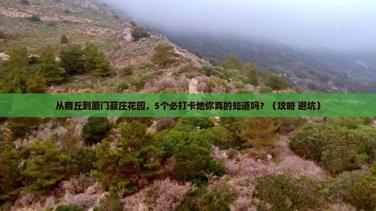 商丘去厦门菽庄花园必去地